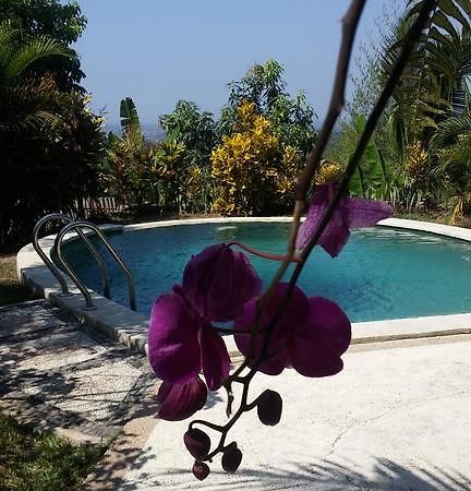 West Bali Villas-Umasari Resort Negara  Esterno foto