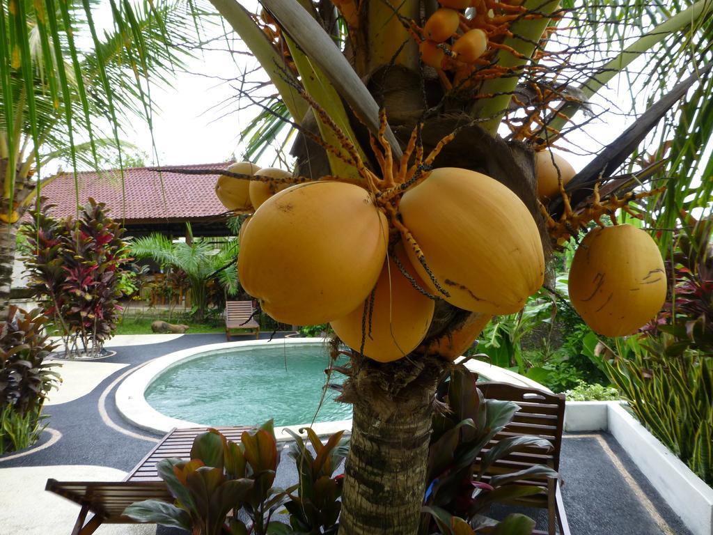 West Bali Villas-Umasari Resort Negara  Camera foto