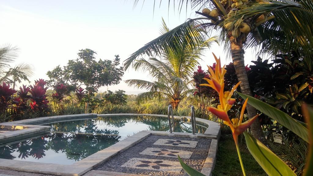 West Bali Villas-Umasari Resort Negara  Esterno foto