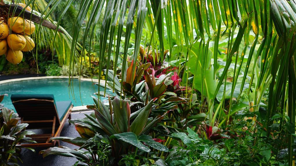 West Bali Villas-Umasari Resort Negara  Esterno foto