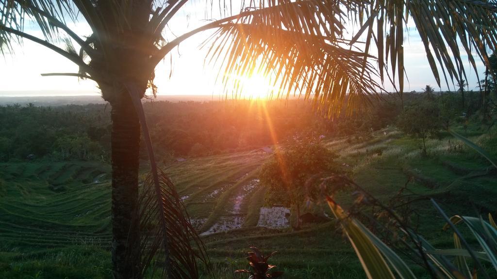 West Bali Villas-Umasari Resort Negara  Esterno foto