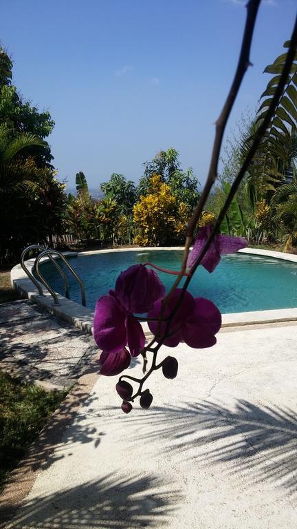 West Bali Villas-Umasari Resort Negara  Esterno foto